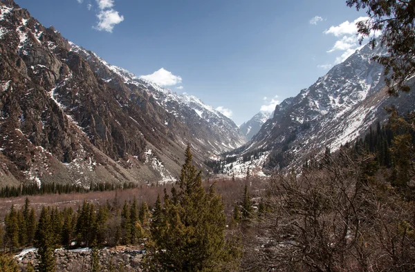 Paesaggio montano. Kirghizistan. Ala-Archa . — Foto Stock