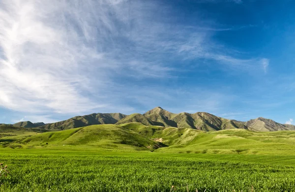 Landcscape hight mountains. Landscape in the fields. — Stock Photo, Image