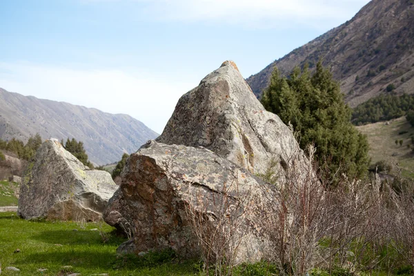 Bergslandskap. ALA-archa, Kirgizistan — Stockfoto