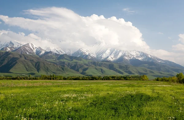 Ásia paisagem. Quirguizistão, Baitik — Fotografia de Stock