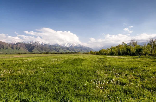 Paysage asiatique. Kirghizistan, Baitik — Photo