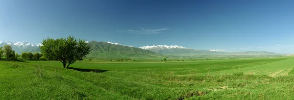 Панорамний гірський ландшафт — стокове фото