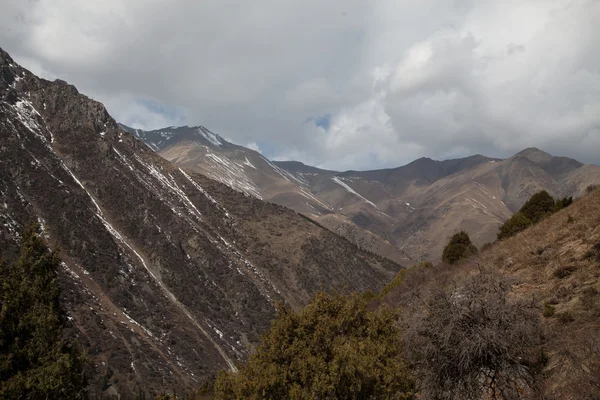 Mountain landscape. Kyrgyzstan. Ala-Archa. — Stock Photo, Image