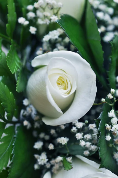 Primo piano delle mani della sposa che tengono bel bouquet da sposa — Foto Stock