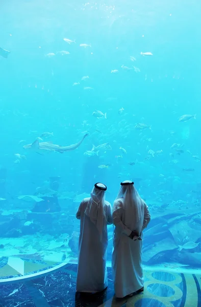 Visitantes observando el acuario en el Hotel Atlantis en la isla Jumeirah Palm —  Fotos de Stock