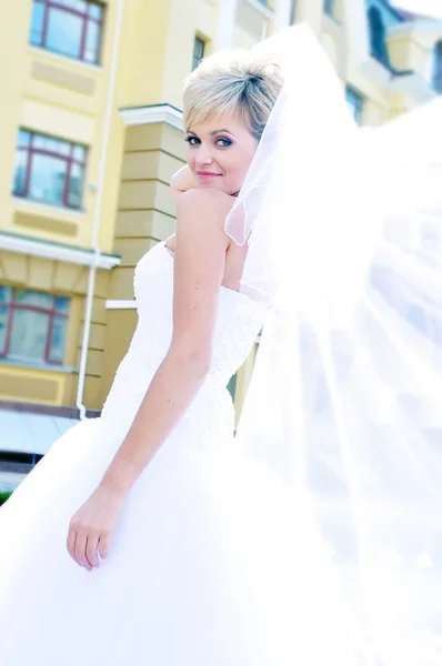 Porträt der schönen jungen Braut mit Hochzeitsfrisur — Stockfoto