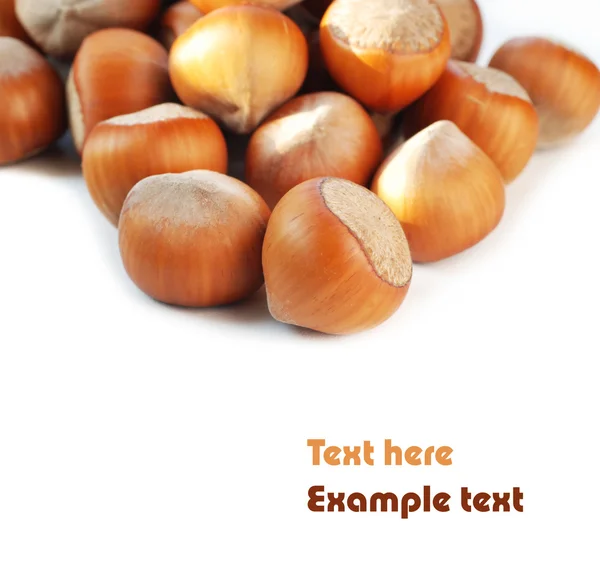 Isolated hazelnuts — Stock Photo, Image