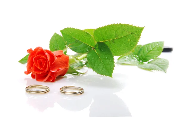 ローズとの結婚指輪 — ストック写真