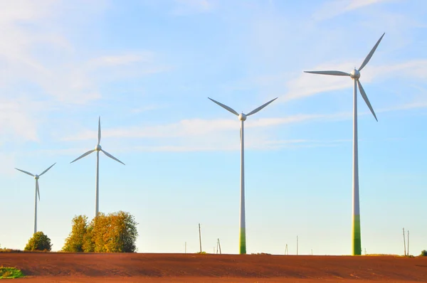 Paisaje con molinos de viento — Foto de stock gratis