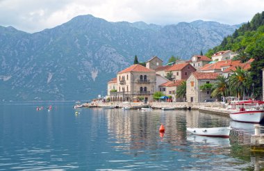 Perast kasaba dolgu, kotor, Karadağ defne