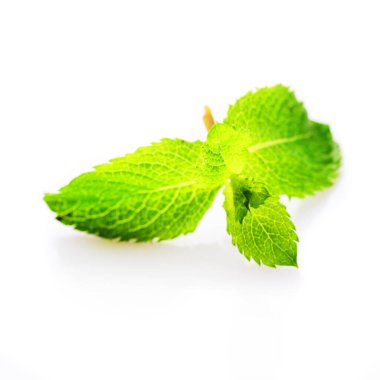 Beyaz arkaplanda taze nane yaprakları