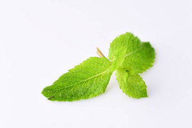Beyaz arkaplanda taze nane yaprakları
