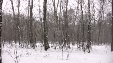 Winter park panorama