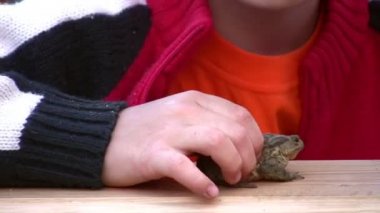 Çocuk öpücük kurbağa