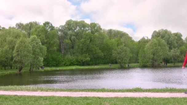 Couple walk in park — Stock Video