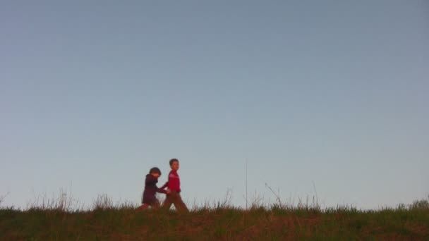 Children on meadow — Stock Video