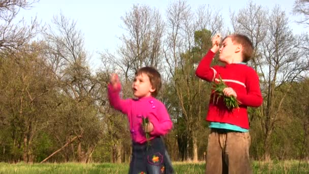 Kinderen met paardebloem — Stockvideo