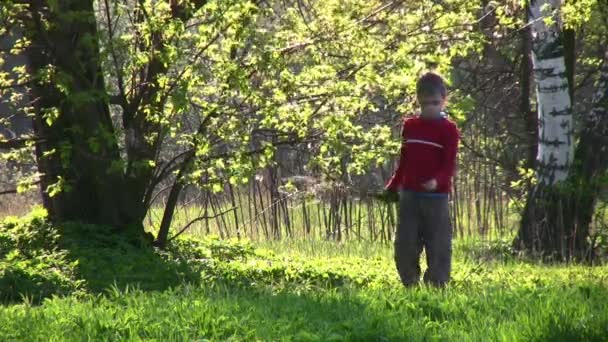 Niño en el parque — Vídeo de stock