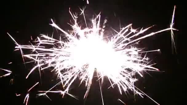 Один sparkler — стокове відео