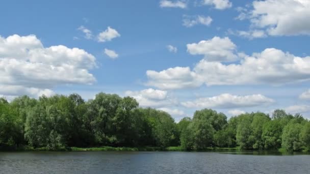 Soleado estanque lapso de tiempo — Vídeo de stock