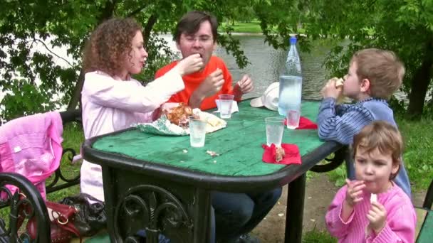 Семейный пикник — стоковое видео