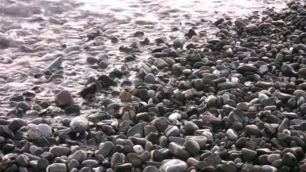 Sea surf som täcker pebble kusten — Stockvideo