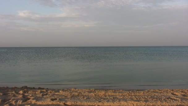 Біжить жінка на пляжі — стокове відео