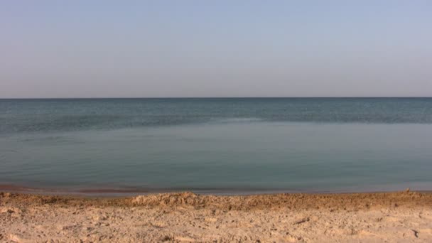 Kör simning par på stranden — Stockvideo