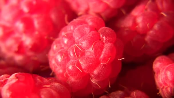 Raspberry — Stock Video