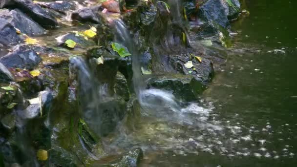 Petite cascade — Video