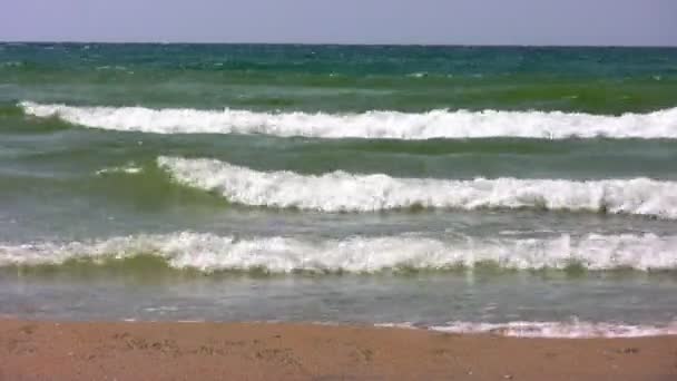 Golven op strand — Stockvideo