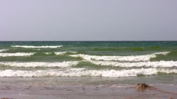 Mãe ambulante e menina na praia — Vídeo de Stock