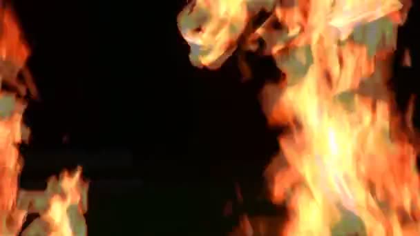 Фон пламени — стоковое видео
