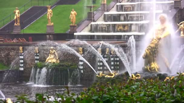 Samson and the Lion Fountain, Peterhof, Rusland — Stockvideo