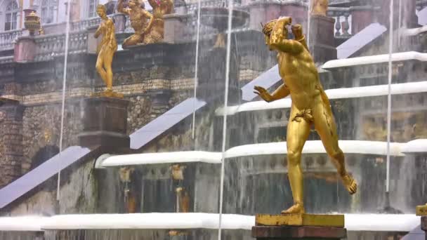 喷泉。彼得夏宫。彼得斯堡。缩放 — 图库视频影像