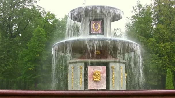 Fountain. Peterhof. Petersburg — Stock Video