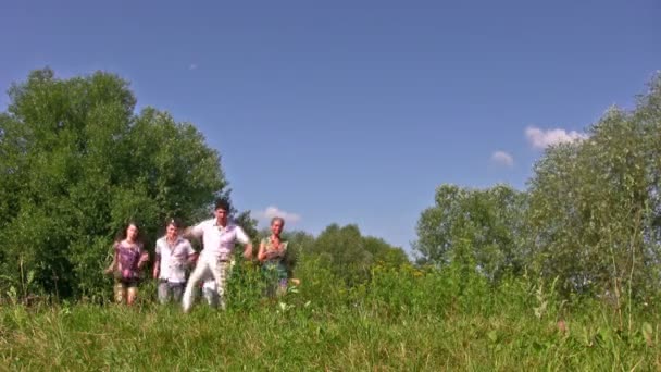 Бег друзей на траве — стоковое видео