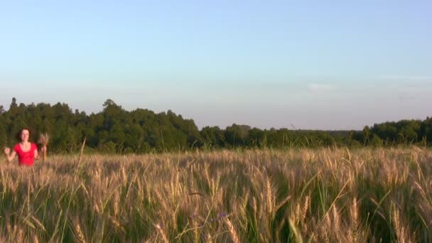 Женщина бегает по пшеничному полю — стоковое видео