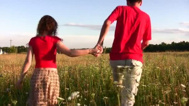 Пара в поле — стокове відео