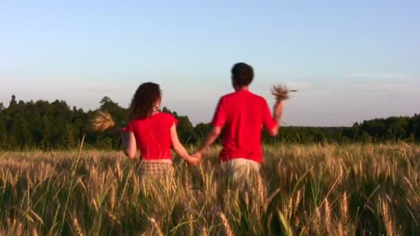 Behind couple in wheat field — Stock Video