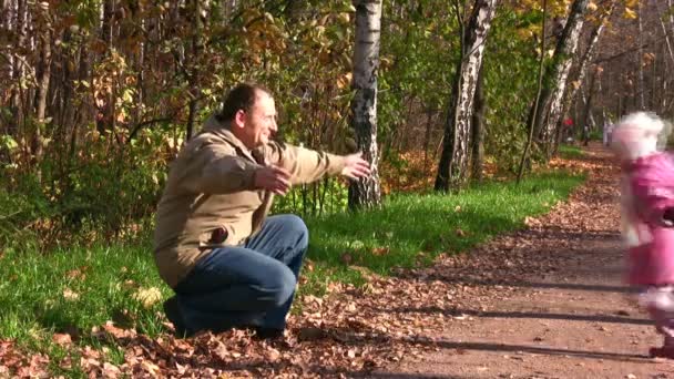 Petite fille courir à l'aîné dans le parc d'automne — Video