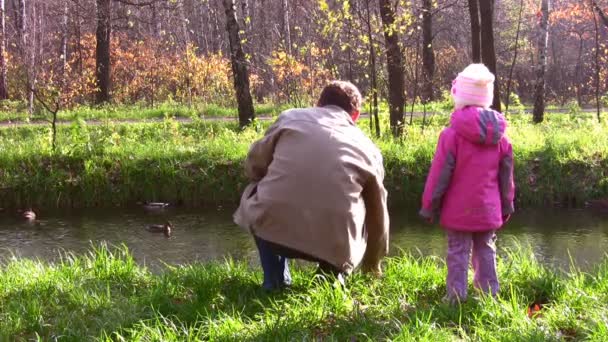 Senior with little girl and ducks — Stock Video