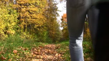 Çocuk sonbahar Park arkasında yürüyen anne.