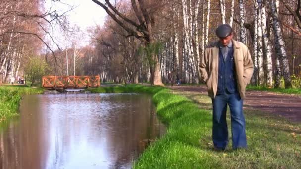 Старшая прогулка в осеннем парке — стоковое видео