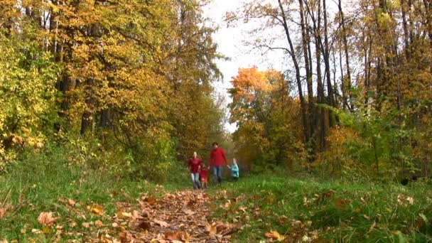 Family of four running in autumn park — Stock Video