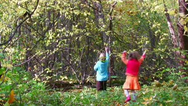 Τα παιδιά παίζουν στο πάρκο φθινόπωρο. — Αρχείο Βίντεο