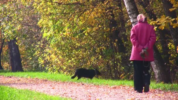 Femme âgée avec chien dans le parc automnal 