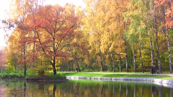 Parque de otoño — Vídeo de stock