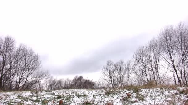 Frau dreht sich auf Schneewiese. — Stockvideo