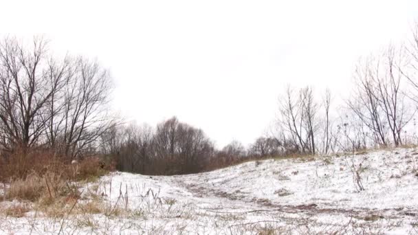 Paar läuft auf erstem Schnee. — Stockvideo